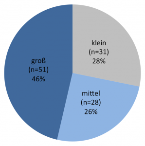 Abb. 1: Unternehmensgrößenklassen nach Mitarbeiteranzahl (n=110)